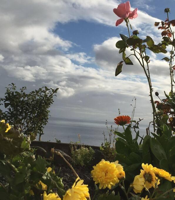 Sunflower Guest House - Madalena - Pico Sao Caetano  외부 사진