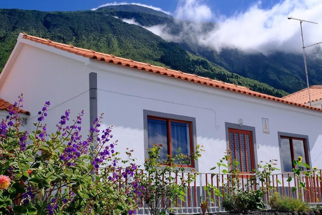 Sunflower Guest House - Madalena - Pico Sao Caetano  외부 사진