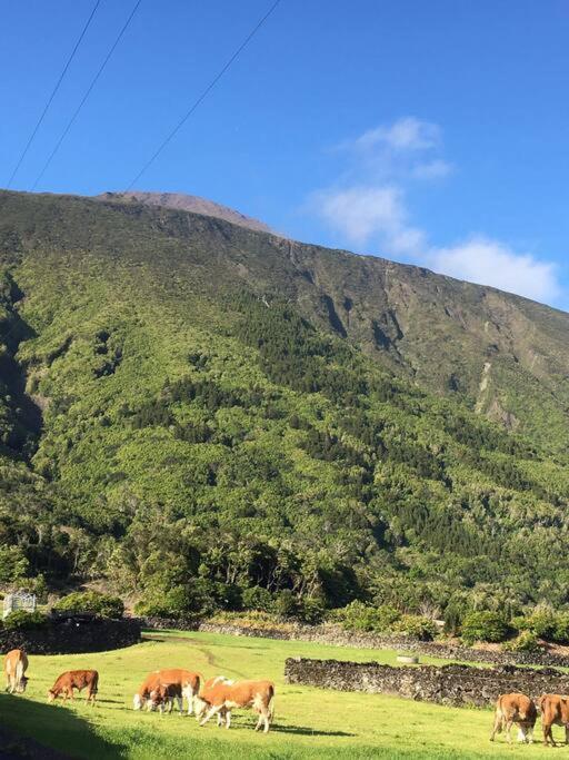 Sunflower Guest House - Madalena - Pico Sao Caetano  외부 사진