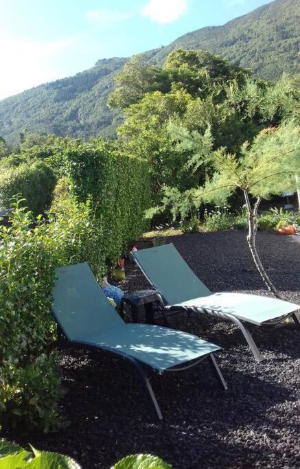 Sunflower Guest House - Madalena - Pico Sao Caetano  외부 사진