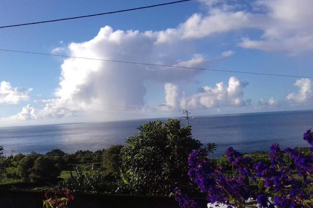 Sunflower Guest House - Madalena - Pico Sao Caetano  외부 사진