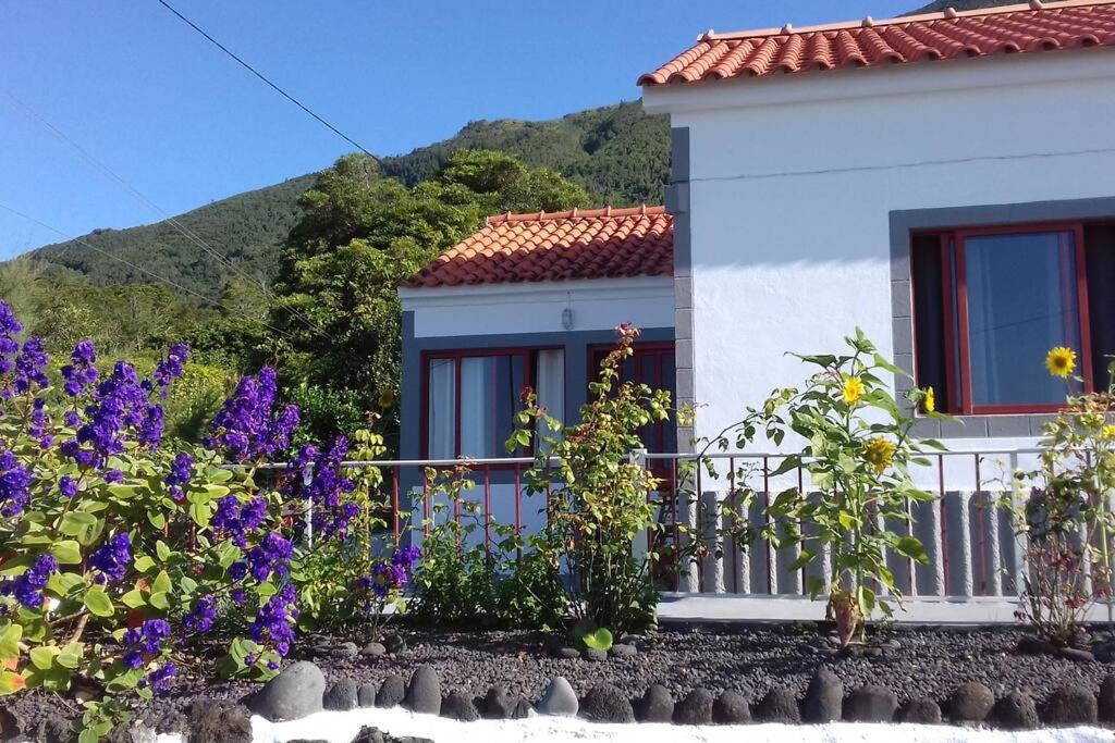 Sunflower Guest House - Madalena - Pico Sao Caetano  외부 사진