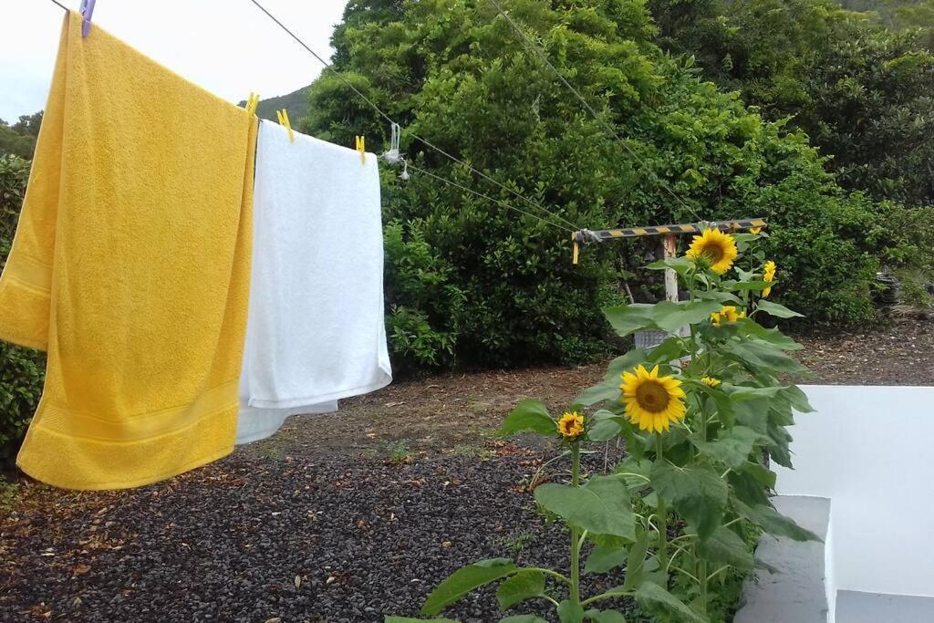 Sunflower Guest House - Madalena - Pico Sao Caetano  외부 사진