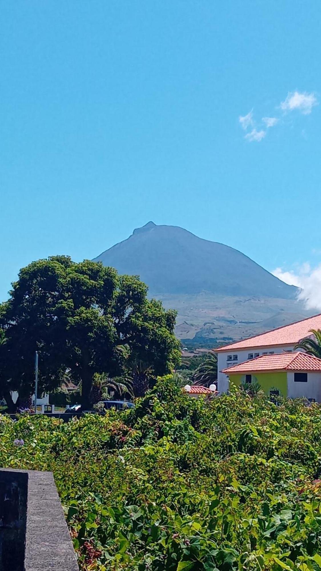 Sunflower Guest House - Madalena - Pico Sao Caetano  외부 사진