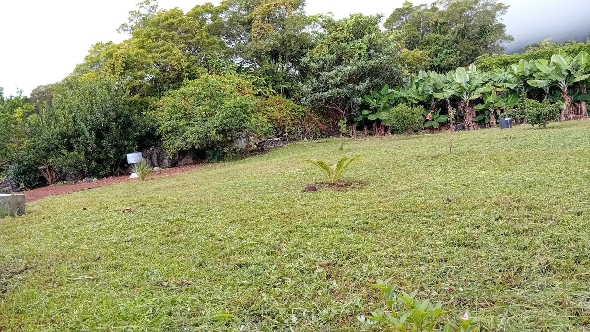 Sunflower Guest House - Madalena - Pico Sao Caetano  외부 사진