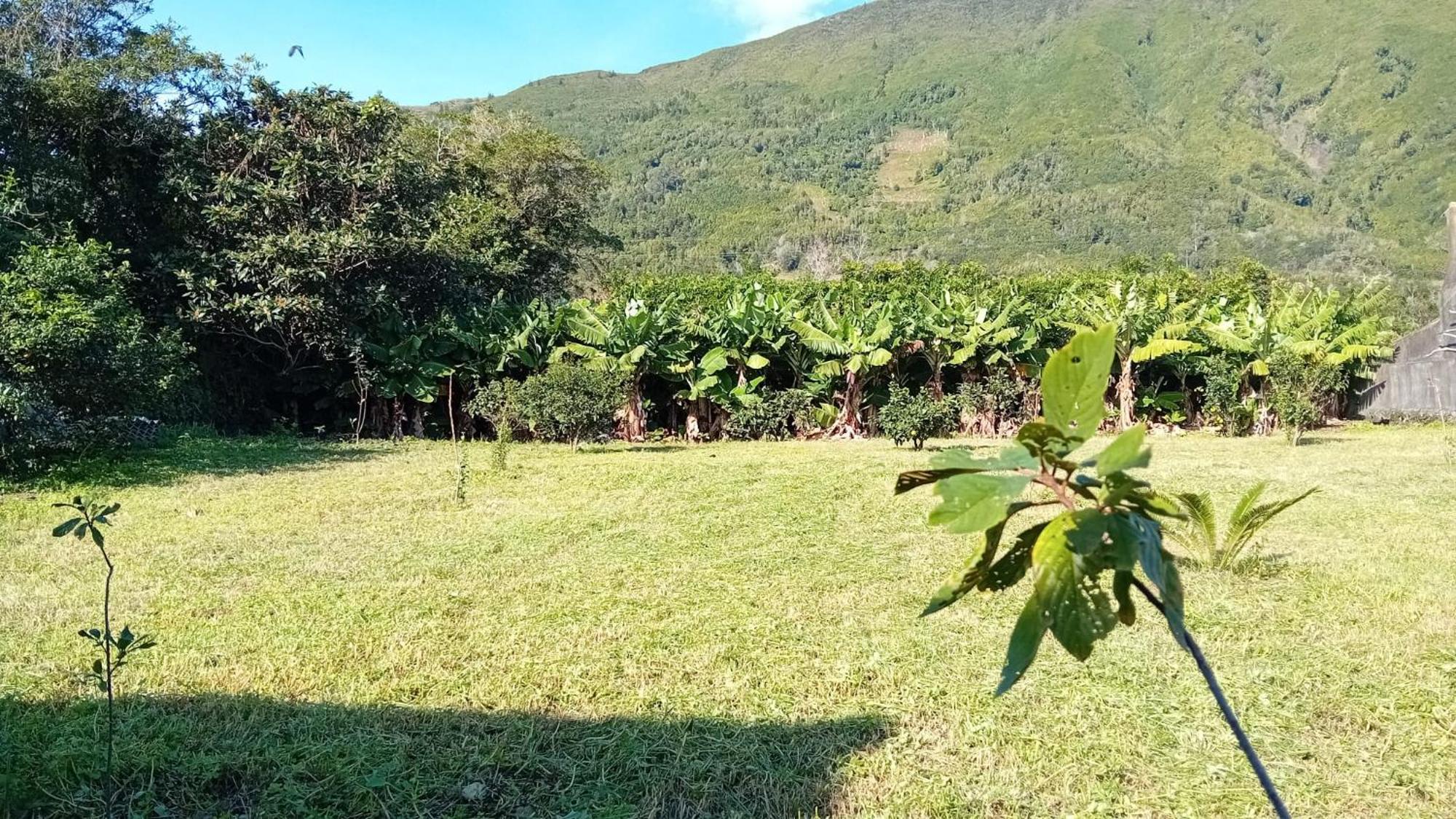 Sunflower Guest House - Madalena - Pico Sao Caetano  외부 사진